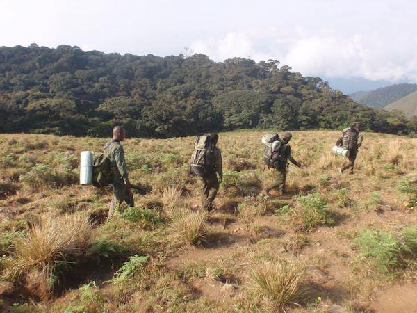 A group of African anti-poaching rangers on patrol in a savanna, carrying rifles and looking alert.