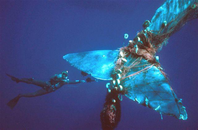 A powerful image of marine life, such as a sea turtle or seabird, entangled in or consuming plastic waste, illustrating the pervasive impact of pollution on ocean ecosystems.